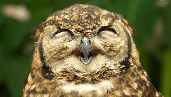 10. Снова я на фотке с закрытыми глазами вышла.