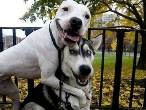 19. Отличный снимок получился, надо будет в Инстаграм выложить.