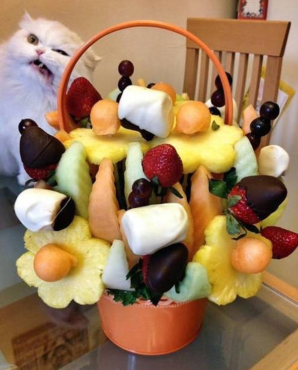8. Разве вы не знали, что коты ненавидят корзины с фруктами?