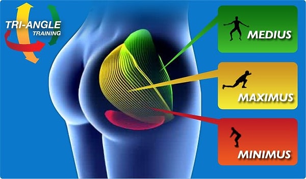 2. Для каждой из трех групп мышц существуют специальные упражнения.
