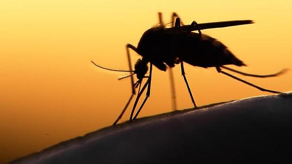 22. 2015 ve 2016 yılında salgın olarak yayılan insanlara cinsel yoldan ve sivrisineklerden geçen hastalık hangisidir?