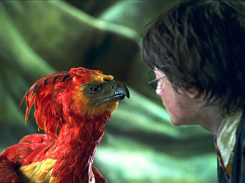 Fawkes ismi, İngiliz tarihinde parlamento binasını havaya uçurmaya çalışan Guy Fawkes'a göderme yapar.