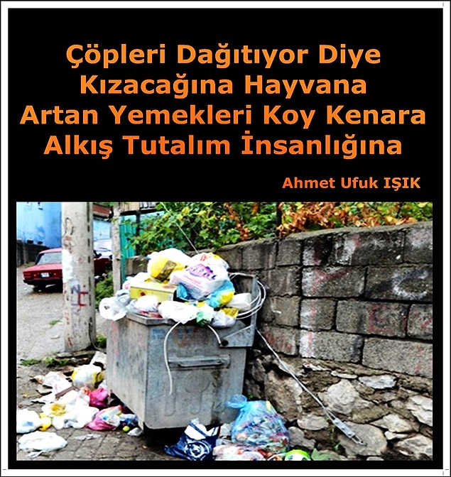 15. Sokak hayvanları çöpleri dağıtıp çevreyi kirletiyor.