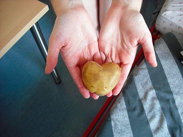 Bonus - Hitchhiker's Guide to the Galaxy: "It is a mistake to think you can solve any major problems just with potatoes." Know your limits and know what you can expect from people...