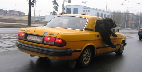 14. Потапыч заказал такси