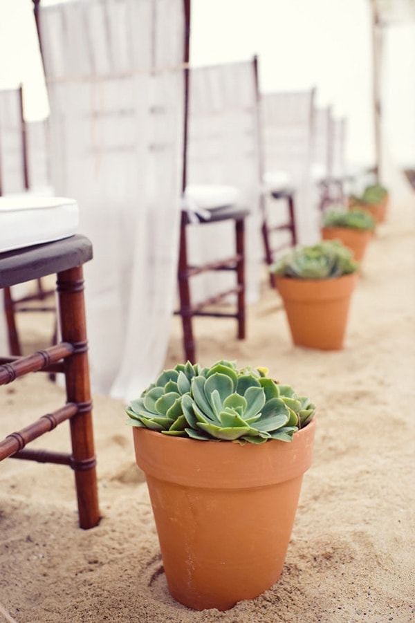 7. Ими можно украсить путь к алтарю