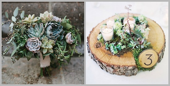 23 идеи применения суккулентов в свадебном декоре