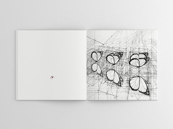 12. И направление.