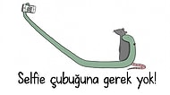 Hayvanların Bizden Çok Daha Fazla Eğlendiğini Kanıtlayan 16 Karikatür