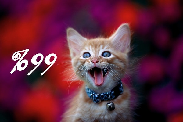 Ты кошка на 99%