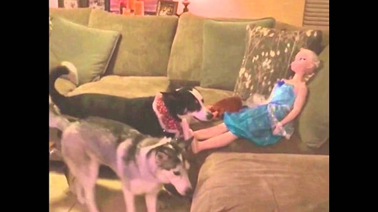 Поиграй со мной, ну пожалуйста!