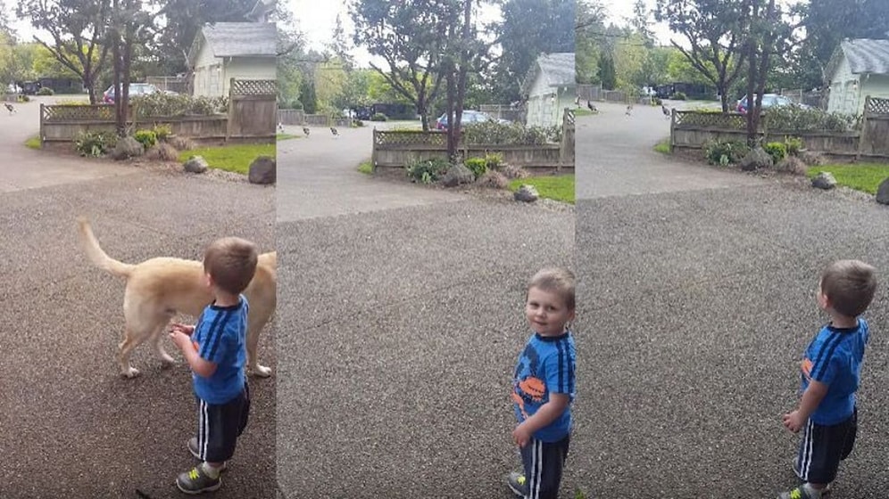 Hindilere Fısıldayan Çocuk: Gizlice Öğrendiği Yeni Dilini Pratiğe Döken Tercüman Ufaklık