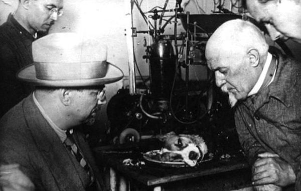 Sovyet bilim insanı Sergei Sergeevich Brukhonenko'nun 1940'da tasarladığı makinesi ölü bir köpeği hayata geri getirmeyi başarıyordu!