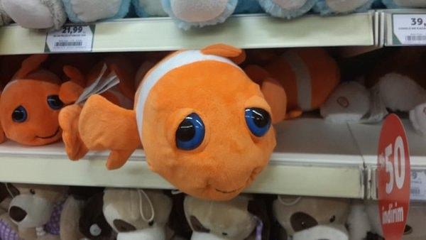 6. Kayıp Balık Nemo'nun macera peşindeyken gelen kafası