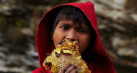 Непальские Винни-Пухи: знакомимся с древней традицией добычи меда