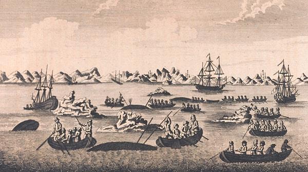 Yani balina yağının yelpazesi oldukça genişti. 17. yüzyıldan 20. yüzyıla kadar olan süreçten bahsediyoruz.