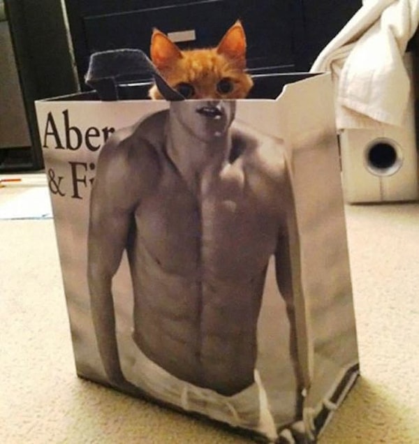 6. Секси-кот 😼