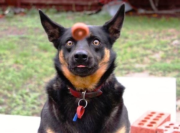 7. Максимальная концентрация