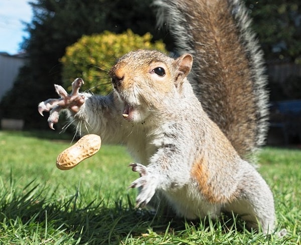 8. Это мое! Мое!