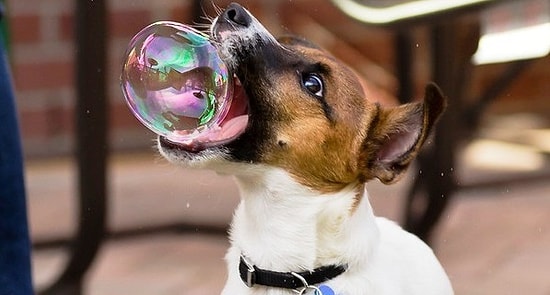 13 фото, сделанные в самый нужный момент