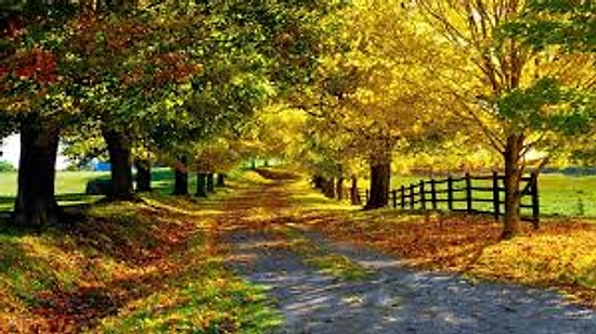 Pozitif Ruhun Sahibi Yeşil ve Botoks Etkisi Yaratan 16 Muazzam Görüntü