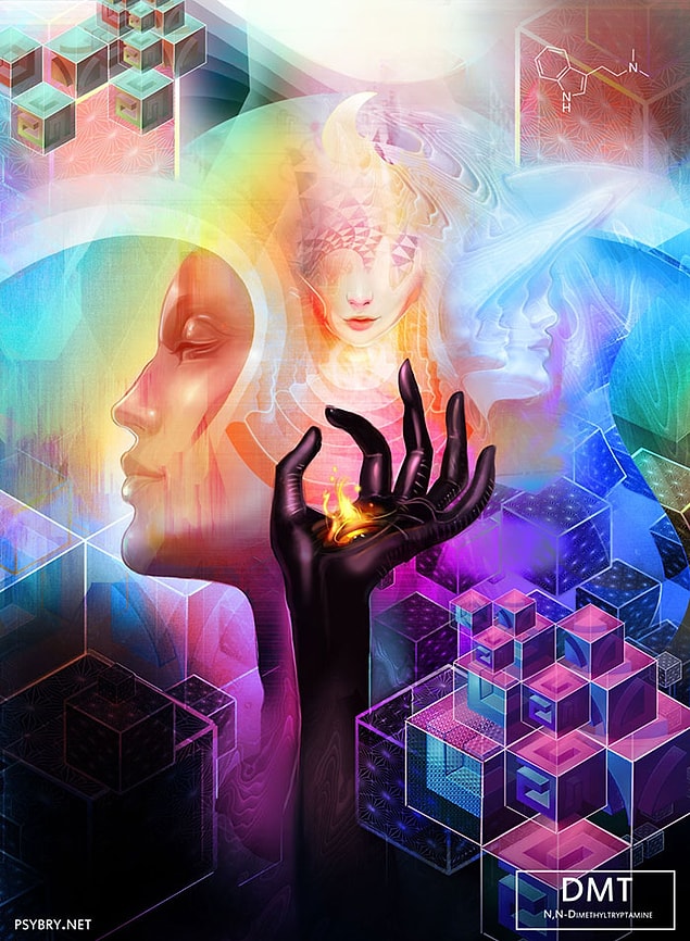 Day 11: DMT