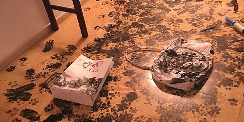 Один дома: чем можно заняться, когда хозяева уехали