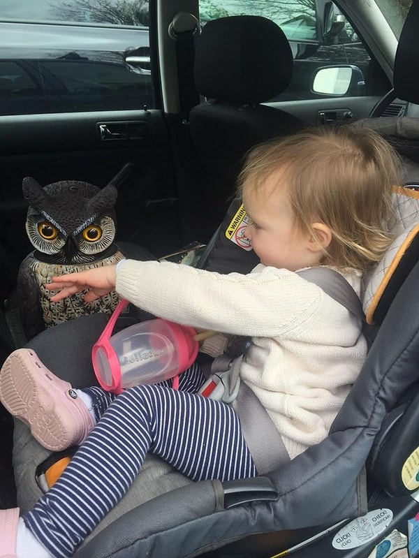 7. «Многие не понимают, почему моя дочь так носится с этой совой, они считают ее страшной».