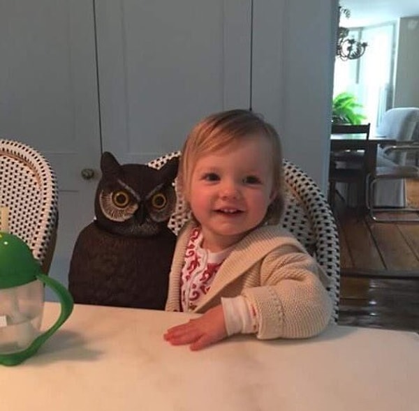 8. «Вообще-то она очень любит сов», - сказала Ребекка.