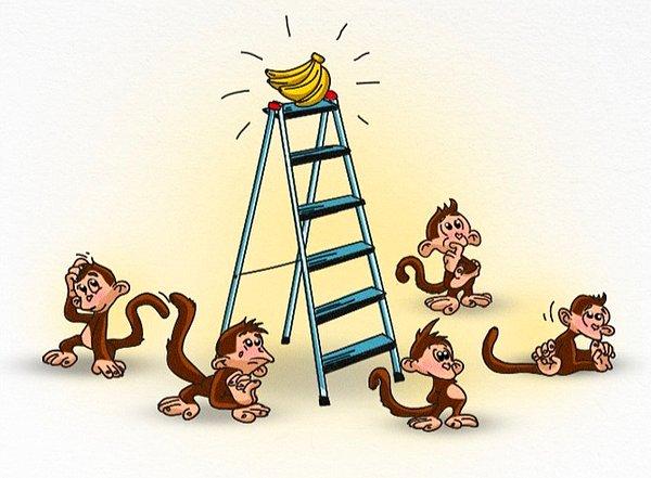 4. Muzlar çok cazip gelmesine rağmen, bir daha hiçbir maymun merdivene çıkmaya cesaret edememiş.