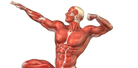 25 мифов о здоровье, с которыми надо покончить раз и навсегда