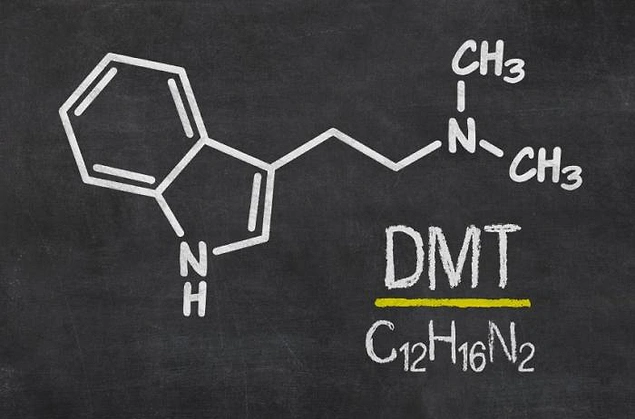 DMT, hayatımızın bir film şeridi gibi gözlerimizin önünde geçtiği ölüm anında bunu sağlayan salgının adı.