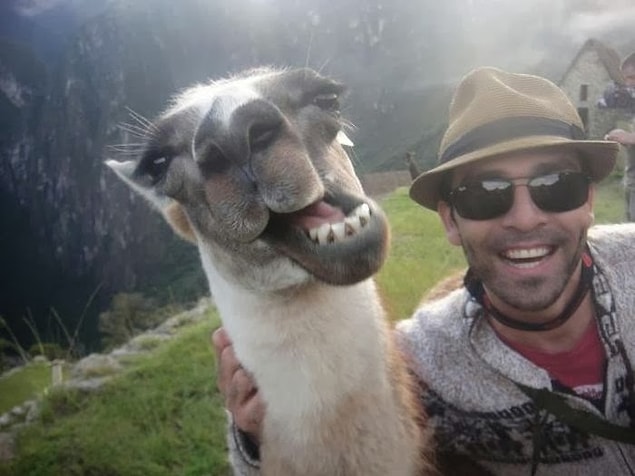 15. If you look at your selfies, you will realize that the most beautiful photos are the ones with an animal.