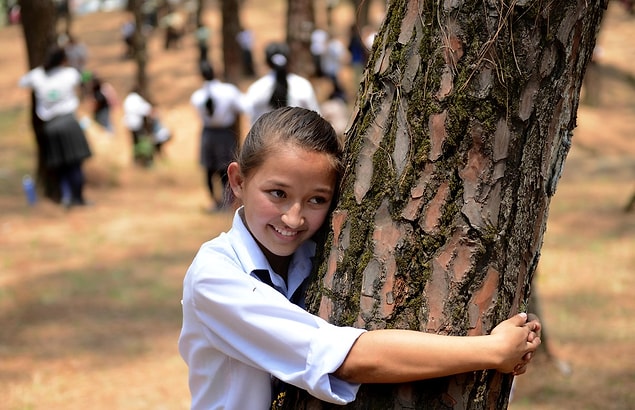 3. Although it has become an object of derision, there is a tragic story behind the coining of the phrase 'tree hugger'