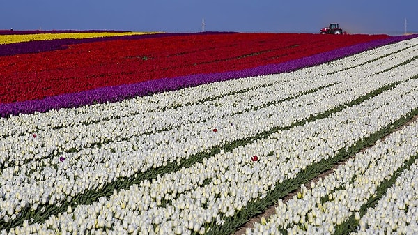 7. Burası fotoğraf meraklıları ve profesyonel fotoğrafçıların adeta doğal stüdyosu durumunda.