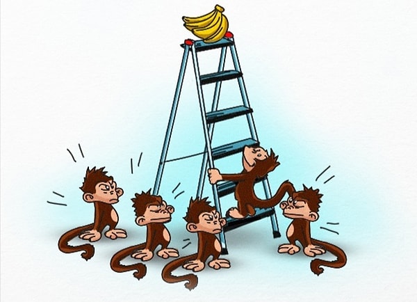 3. После этого одна из обезьян все-таки еще раз попыталась достичь бананов. За что тут же была снята с лестницы и побита другими жителями клетки.