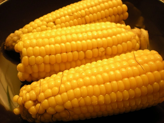 Mısır
