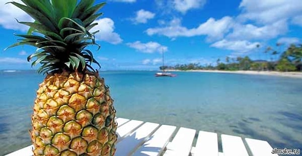 4. «Прежде, чем заняться сексом со своим парнем, я всегда ем ананас»