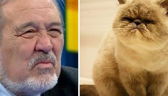 Ünlülere Benzemekle Kalmayıp Hık Demiş Burunlarından Düşmüş 13 Kedi