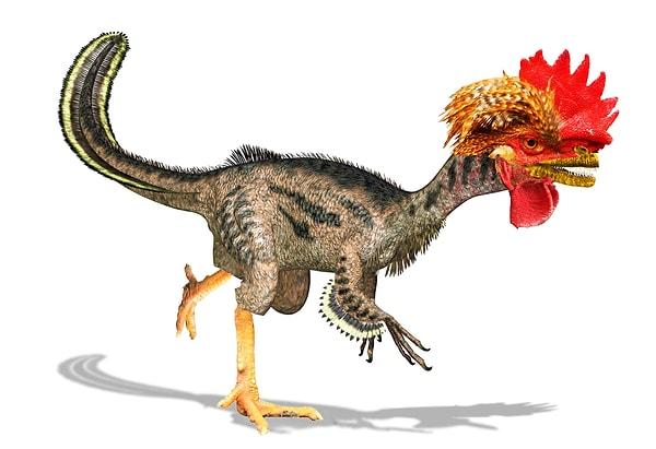 Tavukosaurus!