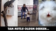 Aklınızdan Geçen Duygulara Tercüman Olacak 11 Video Caps