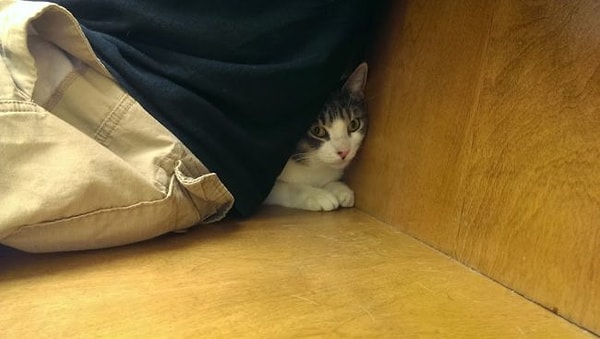 14. "Только попробуй встать. Никогда тебе этого не прощу!"