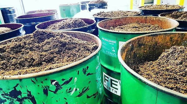 6. Trillium Brewing Company - Бостон, Массачусетс