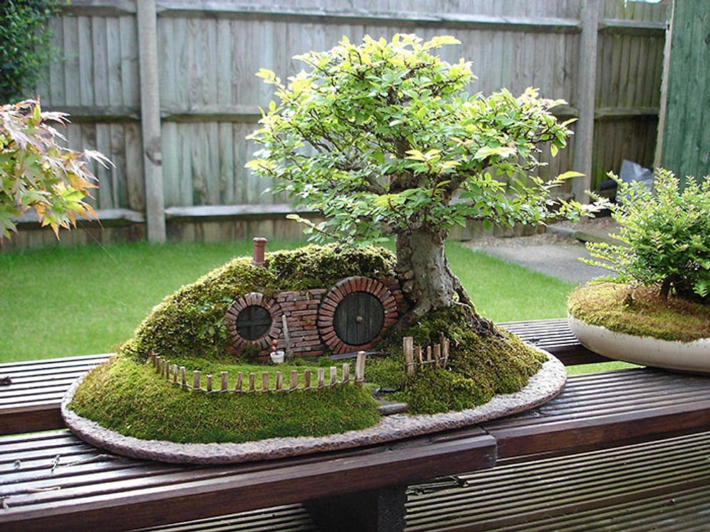 "Keşke Benim de Bir Tane Olsa" Diyeceğiniz Hepsi Birbirinden Güzel 39 Bonsai Ağacı