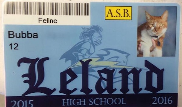 2. Скажете, что ученик без "студня" не ученик?