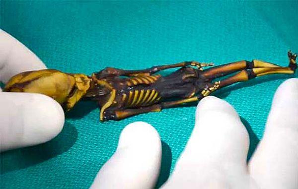 4. In an abandoned town of Chile, a 6-8 inches long skeleton was discovered.
