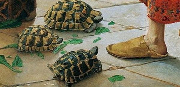 13. Zeminde ise toplamda beş kaplumbağa görüyoruz. Yeşil yaprakları yiyen bu kaplumbağalar, derviş tarafından eğitilmektedir.