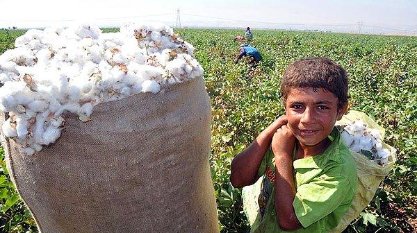 2. Kronik sorun: Çocuk işçiliği