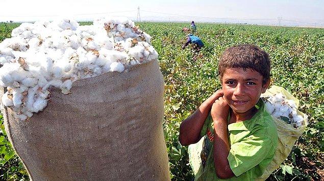 2. Kronik sorun: Çocuk işçiliği
