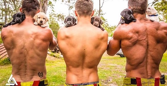 Пожарные снялись с бездомными щенками для благотворительного календаря